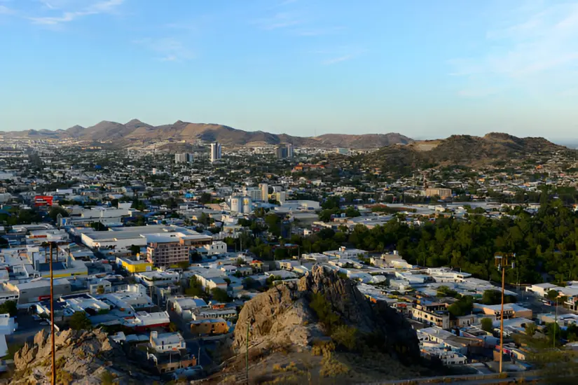 Conoce porque se les dice cachanillas a los de Baja California. Foto: iStock. Conoce porque se les dice cachanillas a los de Baja California. Foto: iStock.