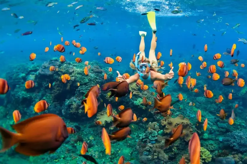 Conoce las diversad actividades que puedes realizar en Cancuncito. Foto: Cortesía.