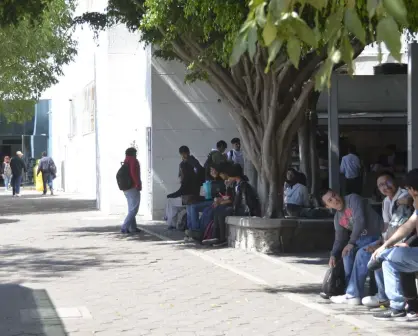 Consigue internet gratis, con las Becas de Conectividad para el Bienestar en Puebla