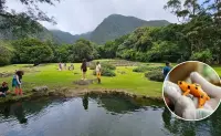 El Valle de Antón en Panamá, un destino que nace del corazón de un volcán