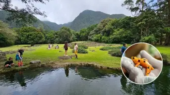 El Valle de Antón en Panamá, un destino que nace del corazón de un volcán