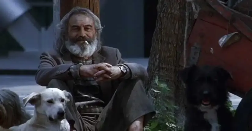Proyectarán Amores Perros en la Cineteca Nacional Se espera que asista una gran cantidad de personas. Foto: Cortesía