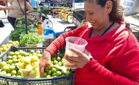 La señora de las ciruelas: jornalera con una vida de lucha y emprendimiento en Villa Juárez