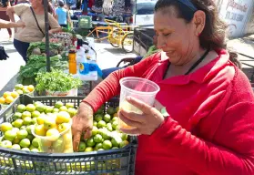La señora de las ciruelas: jornalera con una vida de lucha y emprendimiento en Villa Juárez