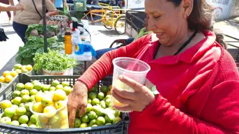 La señora de las ciruelas: jornalera con una vida de lucha y emprendimiento en Villa Juárez