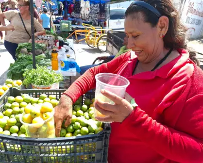 La señora de las ciruelas: jornalera con una vida de lucha y emprendimiento en Villa Juárez