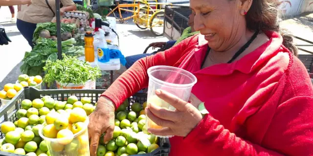 La señora de las ciruelas: jornalera con una vida de lucha y emprendimiento en Villa Juárez