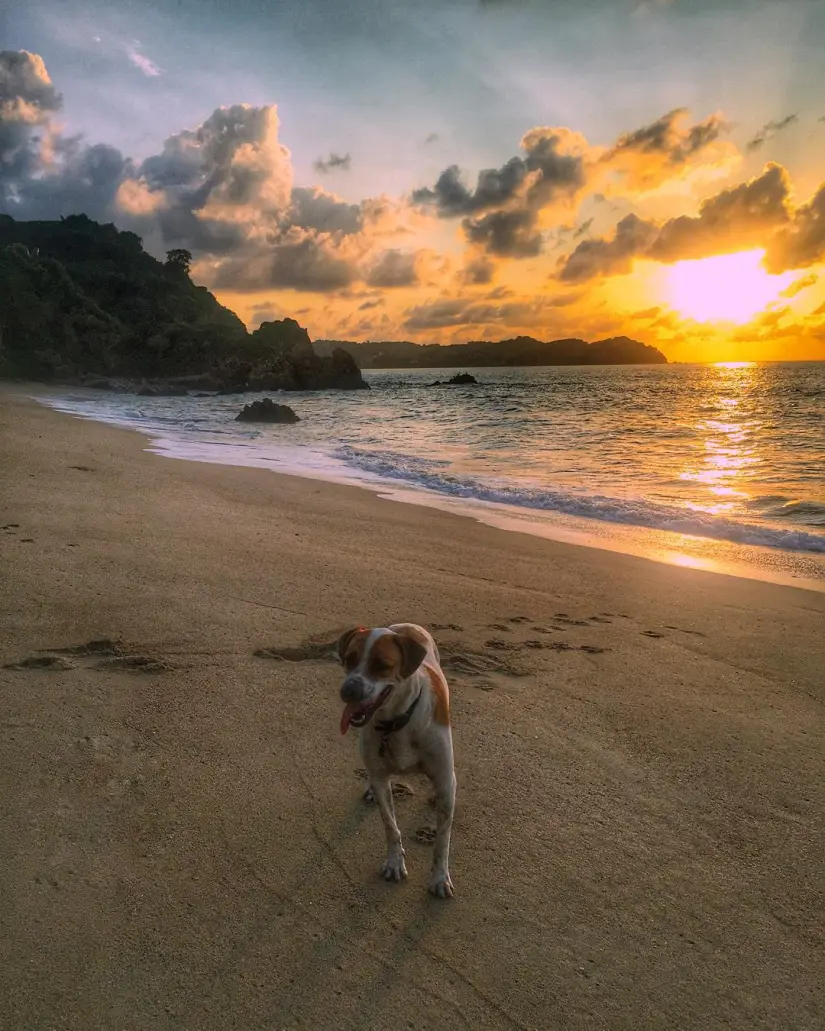 Seis playas secretas que visitar en Nayarit / Playa Mal Paso Foto: jeffbiro (Instagram)