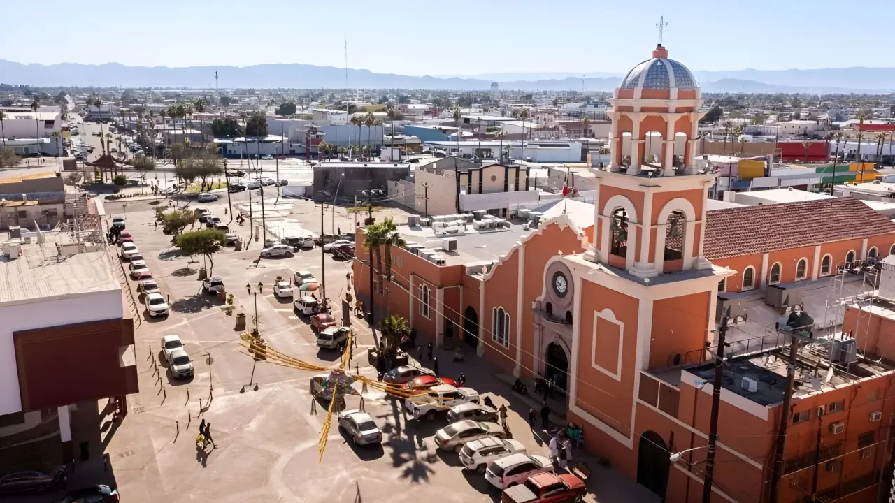 Esta es la razón por la que le dicen cachanillas a los de Baja California. Foto: iStock.