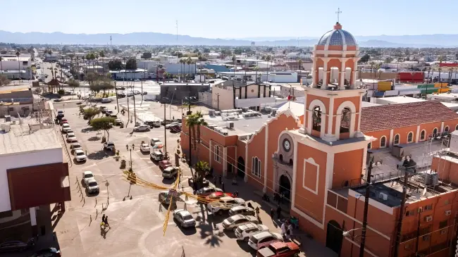 Esta es la razón por la que le dicen cachanillas a los de Baja California. Foto: iStock.