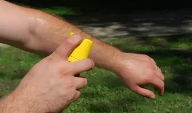 Con estas recomendaciones podrás mantener a los mosquitos fuera de tu hogar. Foto: Cortesía.