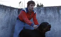 Proyectarán versión inédita de Amores Perros en la Cineteca Nacional: fecha, horario y costo