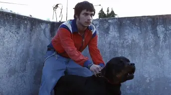 Proyectarán versión inédita de Amores Perros en la Cineteca Nacional: fecha, horario y costo