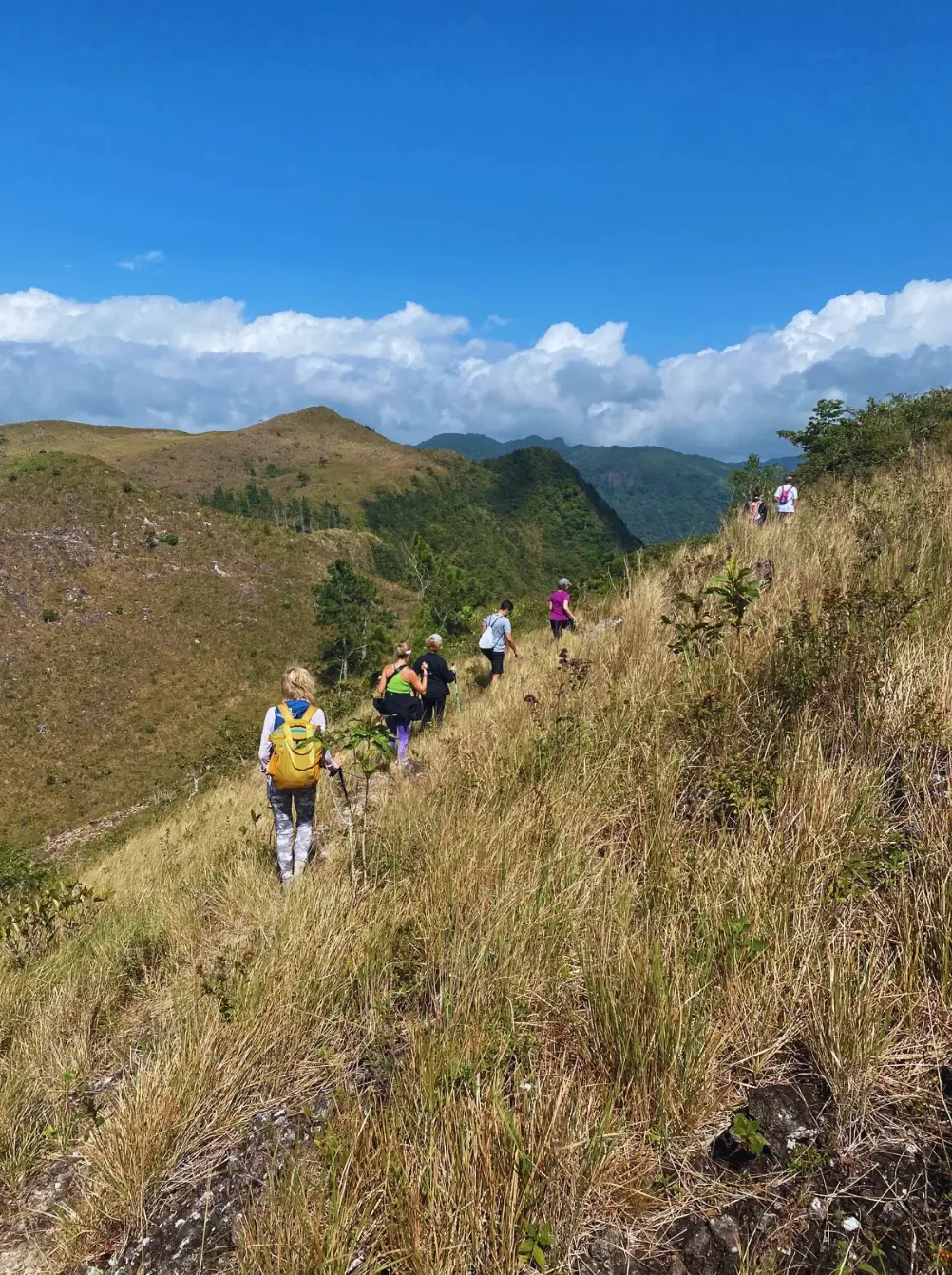 Ruta de senderismo Cerro Cara Igauna en Valle de Antón. Foto: Venalvalle.com Ruta de senderismo Cerro Cara Igauna en Valle de Antón. Foto: Venalvalle.com.