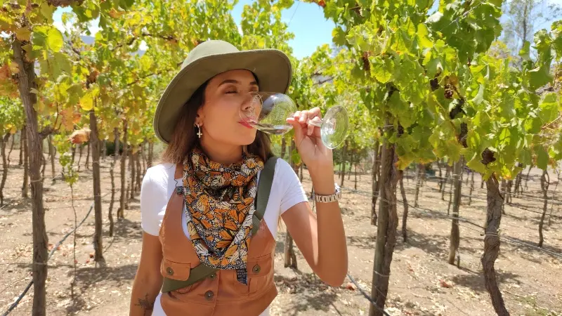 Disfruta de la Ruta del Vino en Baja California. Foto: Mariel de Viaje. Disfruta de la Ruta del Vino en Baja California. Foto: Mariel de Viaje.
