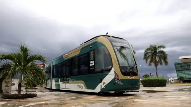 Este tren opera con un sistema eléctrico, moderno y sustentable. Foto: Sectur