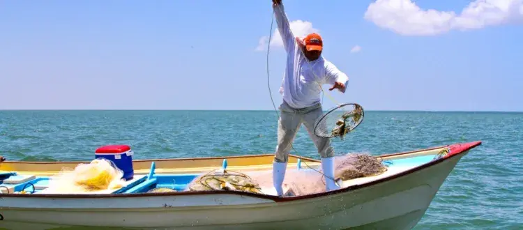 Reporta cualquier indicio de pesca ilegal en el océano Pacifico. Foto. Cortesía.