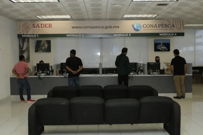 La Comisión Nacional de Acuacultura y Pesca (CONAPESCA) puso a disposición números telefónicos, página web e incluso de manera presencial para que realices tu denuncia de pesca ilegal. Foto: Cortesía.