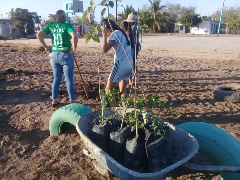 Acción ciudadana después del diseño de parques