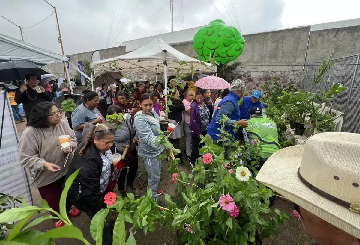 Plantas gratis en Aguascalientes, este martes 1 de julio. Foto: Cortesía