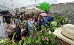 Consigue este martes hasta 10 plantas sin costo en Aguascalientes; lista de viveros