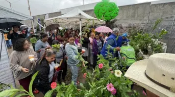 Consigue este martes hasta 10 plantas sin costo en Aguascalientes; lista de viveros