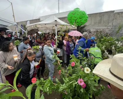 Consigue este martes hasta 10 plantas sin costo en Aguascalientes; lista de viveros