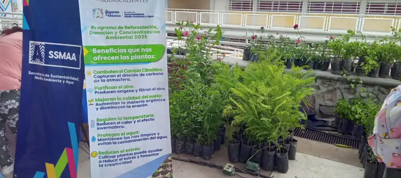 Donación de plantas todos los martes en Aguascalientes Donación de plantas todos los martes en Aguascalientes. Foto: Cortesía