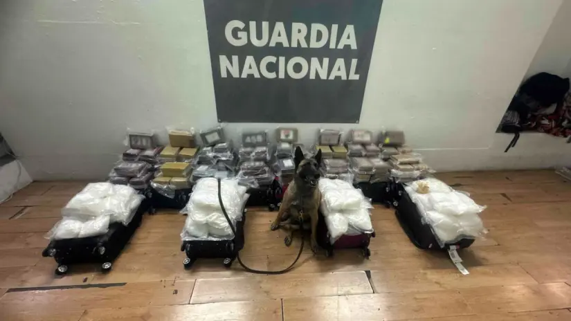 Con la colaboración del binomio canino se pudo confirmar la presencia de drogas ilícitas. Foto: Cortesía. Con la colaboración del binomio canino se pudo confirmar la presencia de drogas ilícitas. Foto: Cortesía.