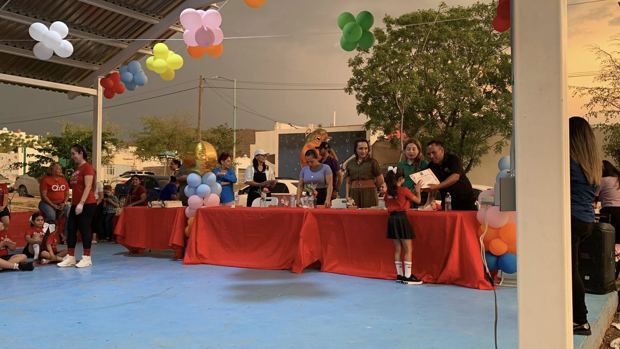 Imagen 29