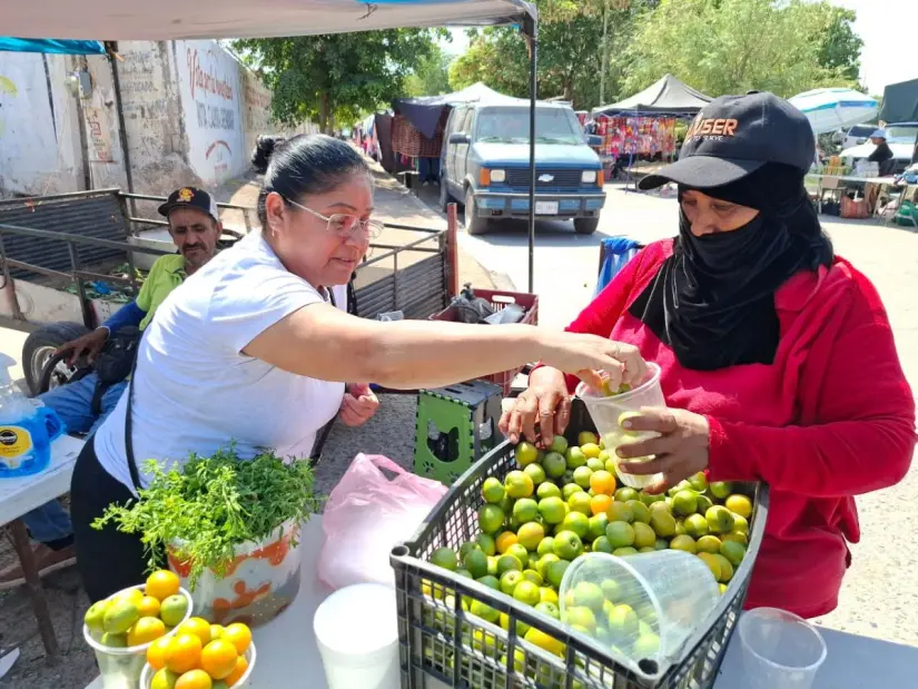Hoy son ciruelas, luego son hiervas aromáticas o verduras, la venta continúa
