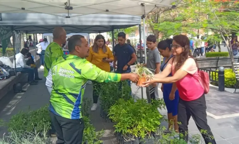 Llévate 10 plantas gratis en Aguascalientes Llévate 10 plantas gratis en Aguascalientes. Foto: Cortesía