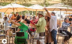 ¿Cuál es la Ruta del Vino en Baja California?