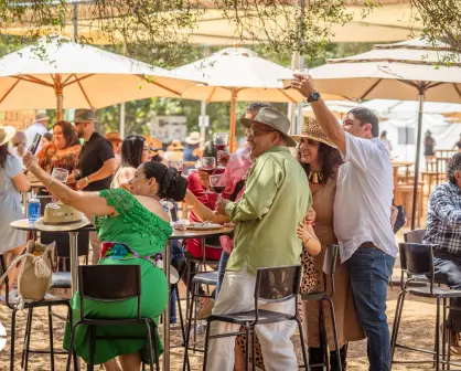 ¿Cuál es la Ruta del Vino en Baja California?