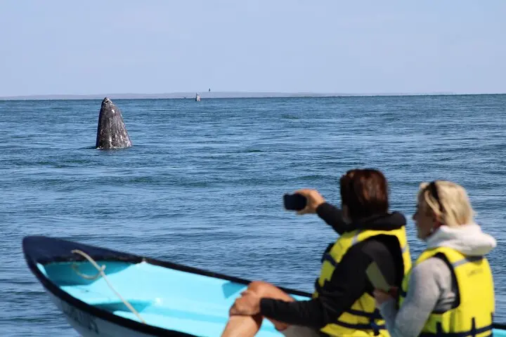 imagen recuadro En esta temporada se en lista tres pueblos mágicos para visitar en Baja California Sur Foto: Tripavisor