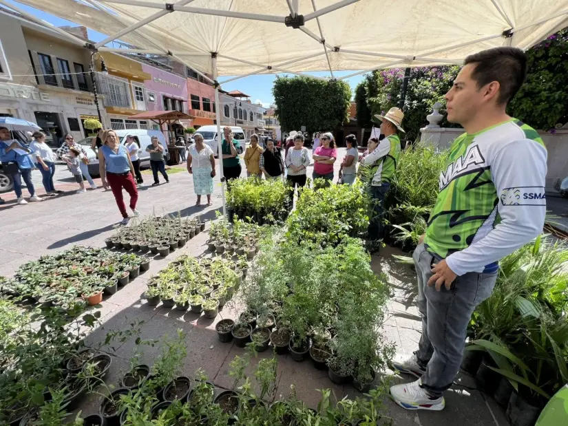 Viveros que entregan plantas gratis en Aguascalientes. Foto: Cortesía