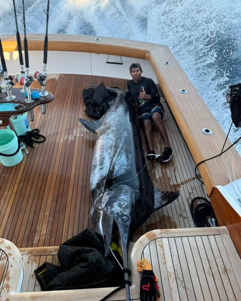 Capturan a un marlín azul de 345kg en Los Cabos, Baja California Sur. Foto: Facebook @Pisces Sportfishing Fleet.