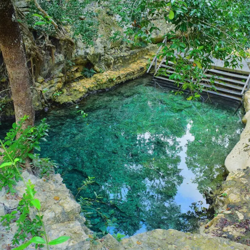 Cenote natural en Tulum Foto: México desconocido
