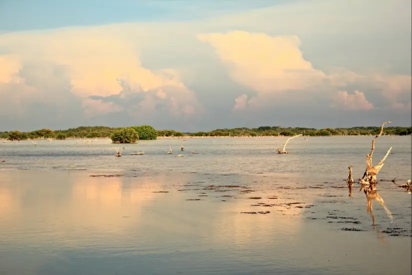 Reserva Estatal El Palmar Foto: México desconocido