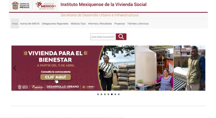 Página principal del IMEVIS. Foto: captura de pantalla.