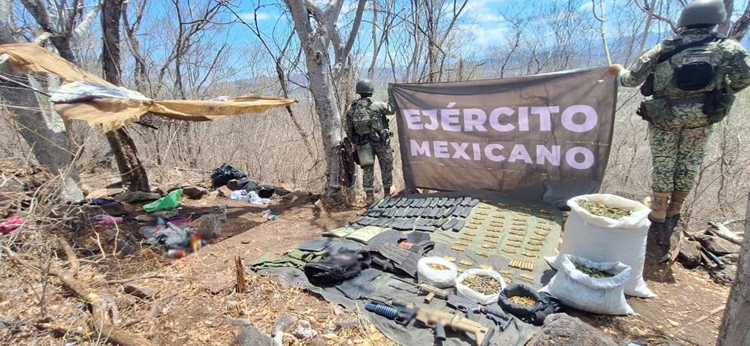 Golpes al crimen organizado: decomisos históricos y acciones coordinadas en Sinaloa