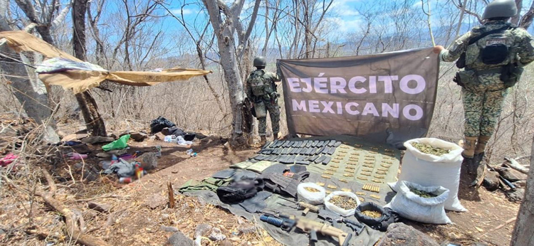 Golpes al crimen organizado: decomisos históricos y acciones coordinadas en Sinaloa