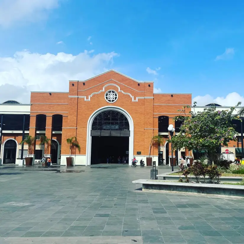 imagen recuadro Mercado Municipal de Tampico en el centro histórico de la ciudad Foto: roquecis (Instagram)