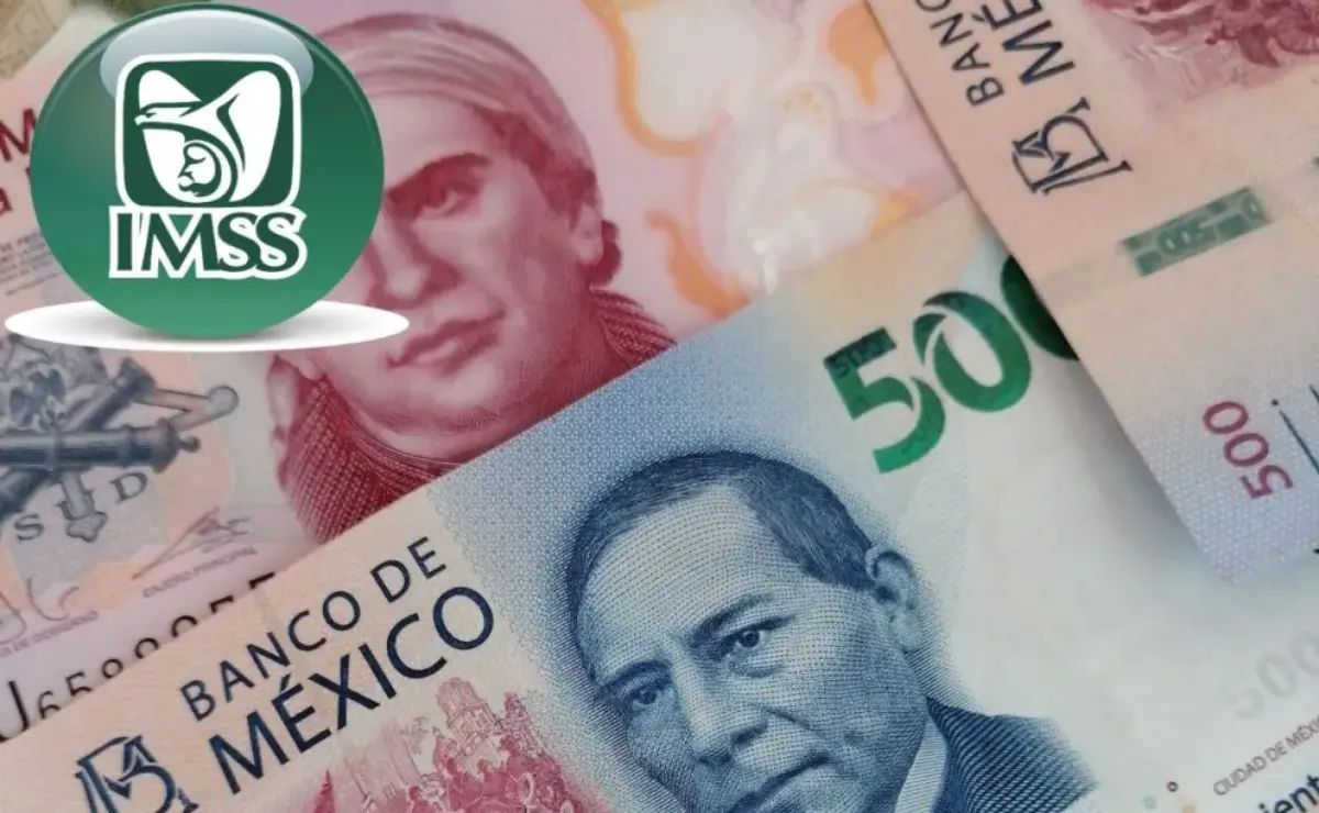 Con la Modalidad 40 puedes recuperar tus semanas perdidas de cotización.