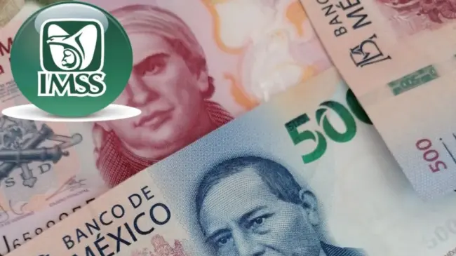 Con la Modalidad 40 puedes recuperar tus semanas perdidas de cotización.