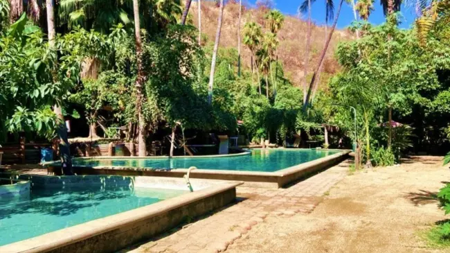 Estos son todos los detalles acerca del oasis de San Bartolo. Foto: Cortesía.