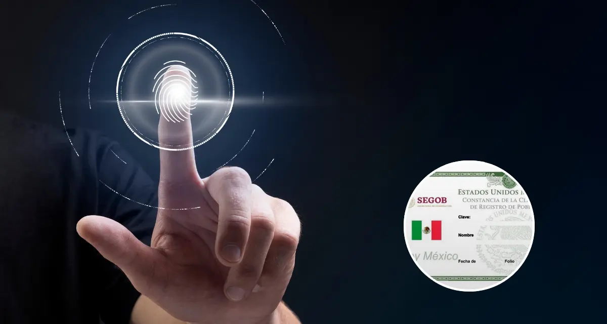 Estos son los datos que contendrá la CURP biométrica. Foto: Freepik