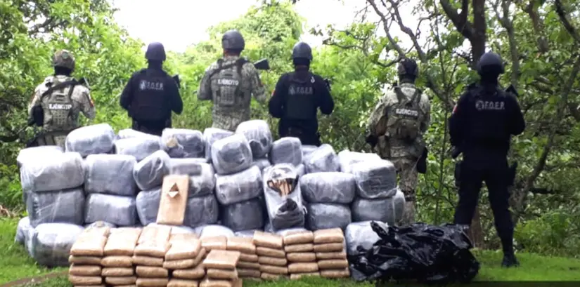 Operativo en Jalisco. Foto: Gob. de México