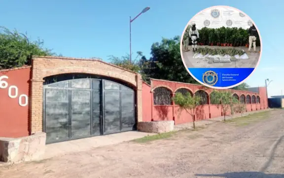 Golpe al narco en Aguascalientes: aseguran plantíos de marihuana y detienen a pareja en finca