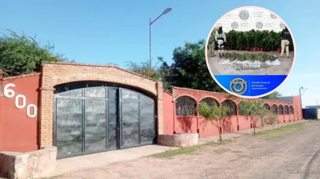 En el lugar se aseguraron más de 50 kilos de marihuana. Fotos: FGE